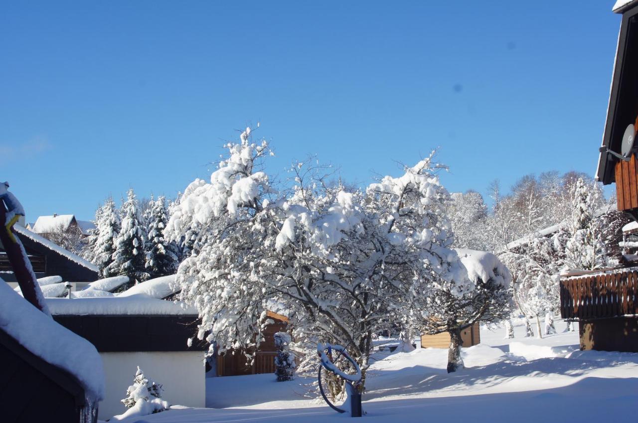 Landhotel Garni Schweizerhaus Schönwalde 外观 照片